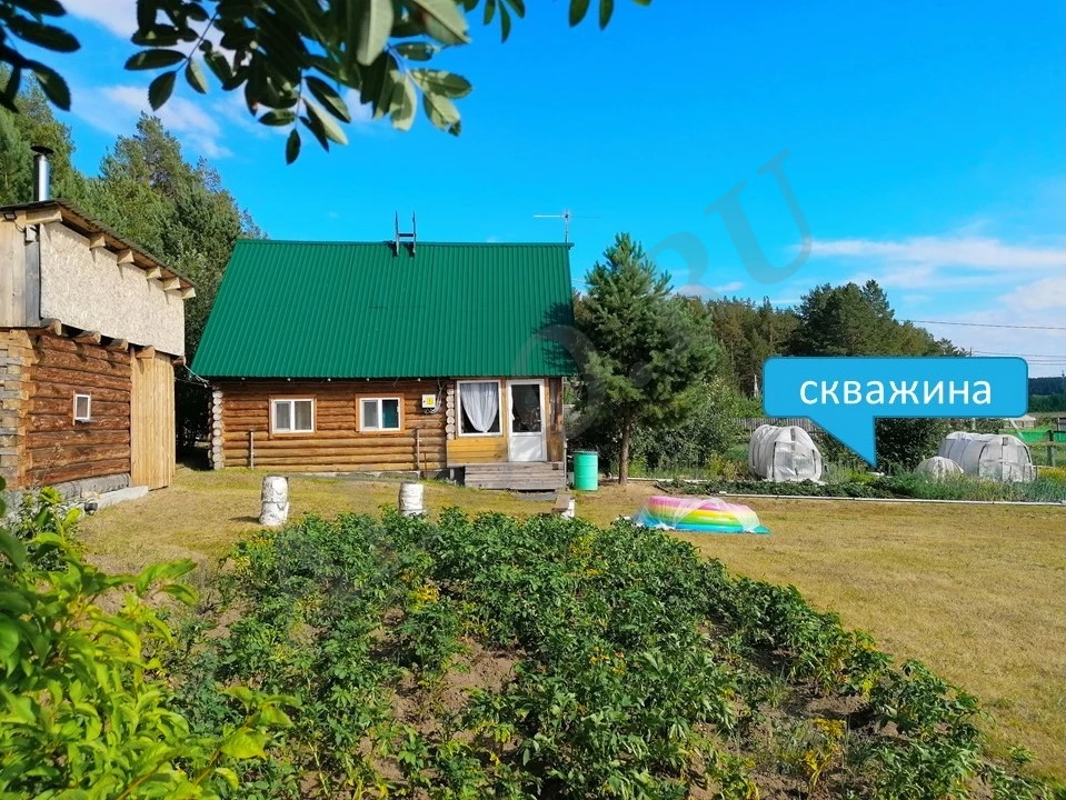 Дача возле соснового леса и реки Исеть