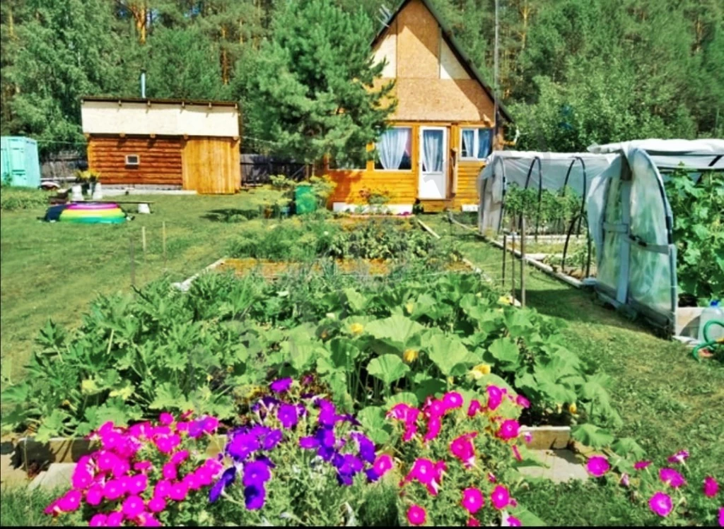 Дача возле соснового леса и реки Исеть