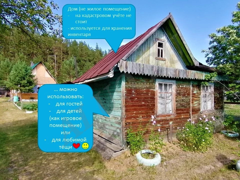 Дача возле соснового леса и реки Исеть