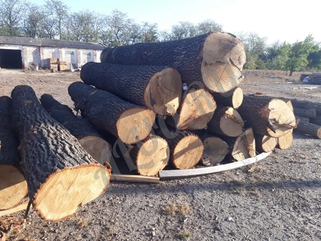 Пиломатериалы, кругляк из дуба, бука, ясеня, акации, карагача.