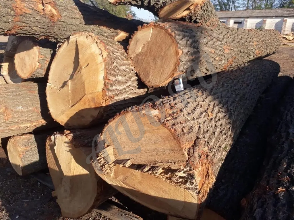 Пиломатериалы, кругляк из дуба, бука, ясеня, акации, карагача.