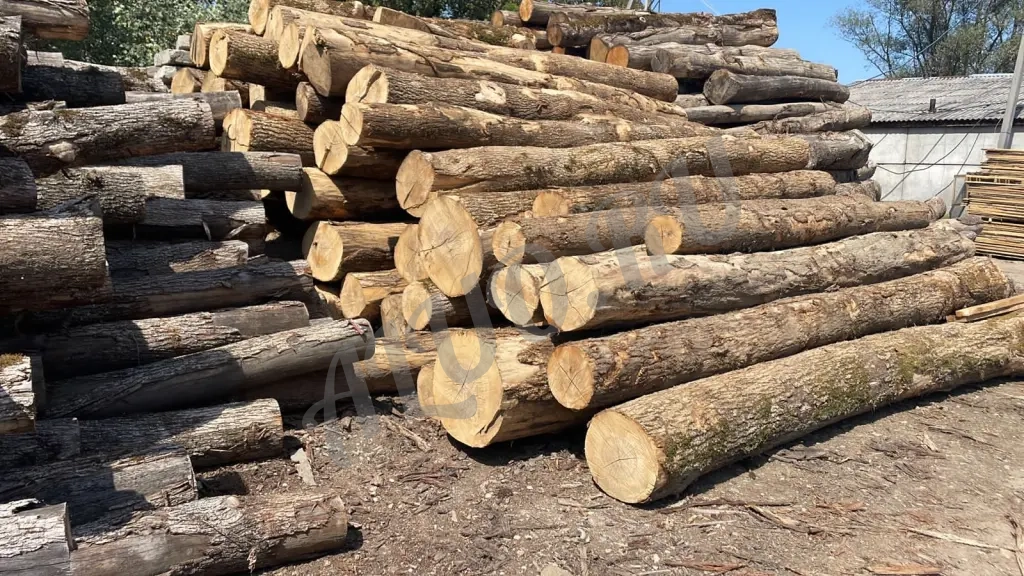 Пиломатериалы, кругляк из дуба, бука, ясеня, акации, карагача.