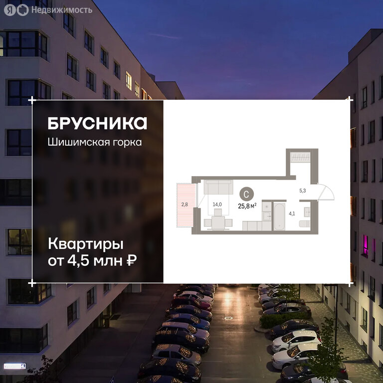 Квартира-студия: Екатеринбург, улица Гастелло, 18 (25.76 м²)