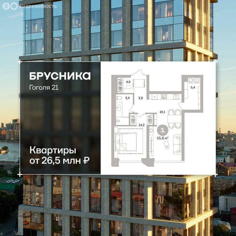 Квартира-студия: Екатеринбург, улица Гоголя, 21 (55.57 м²)