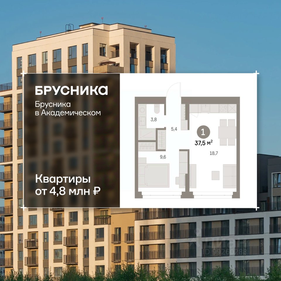 1-к кв. Свердловская область, Екатеринбург Академический мкр, 19-й кв-л, Брусника в Академическом жилой комплекс (37.48 м²)