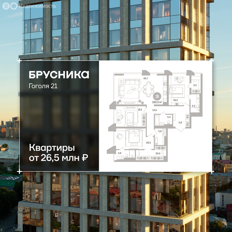 Квартира-студия: Екатеринбург, улица Гоголя, 21 (150.32 м²)
