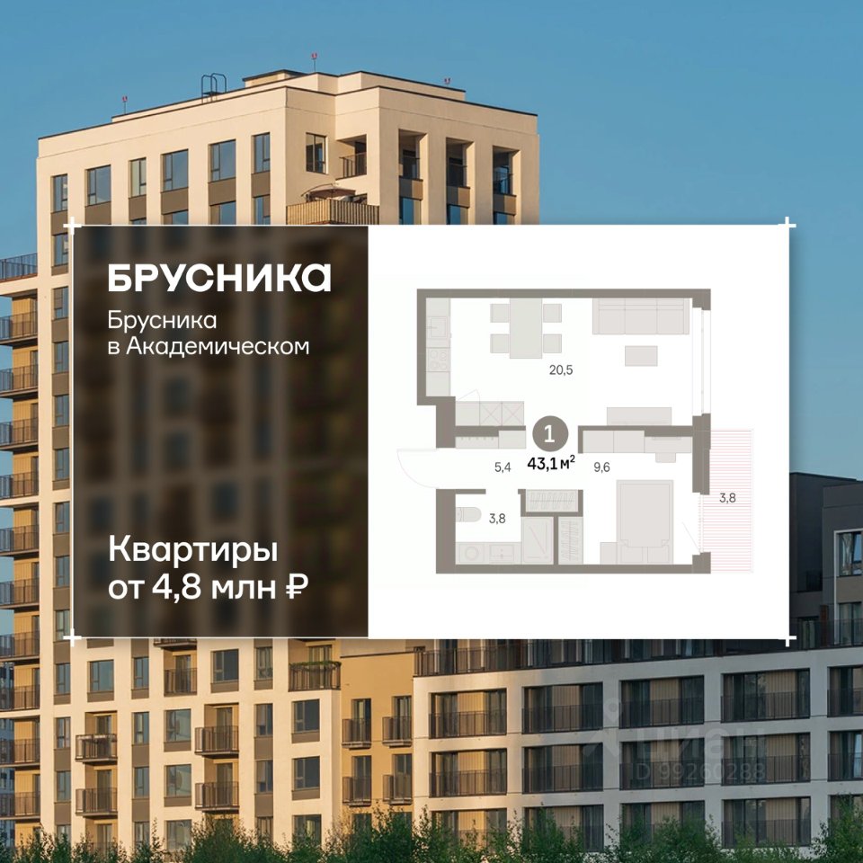 1-к кв. Свердловская область, Екатеринбург Академический мкр, 19-й кв-л, Брусника в Академическом жилой комплекс (42.83 м²)